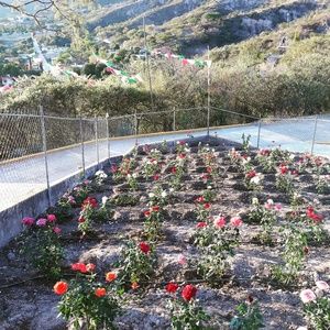 Meet your Posher, Noelia